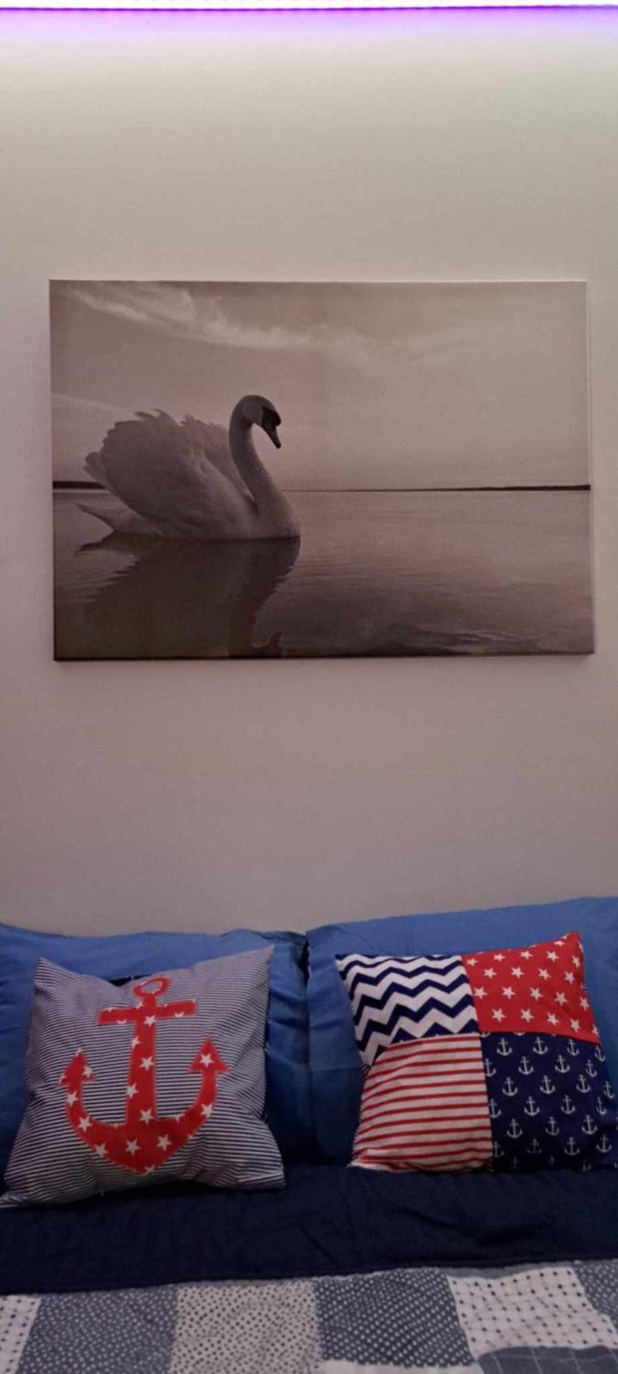 Apartament Mikolajki Swan Dış mekan fotoğraf